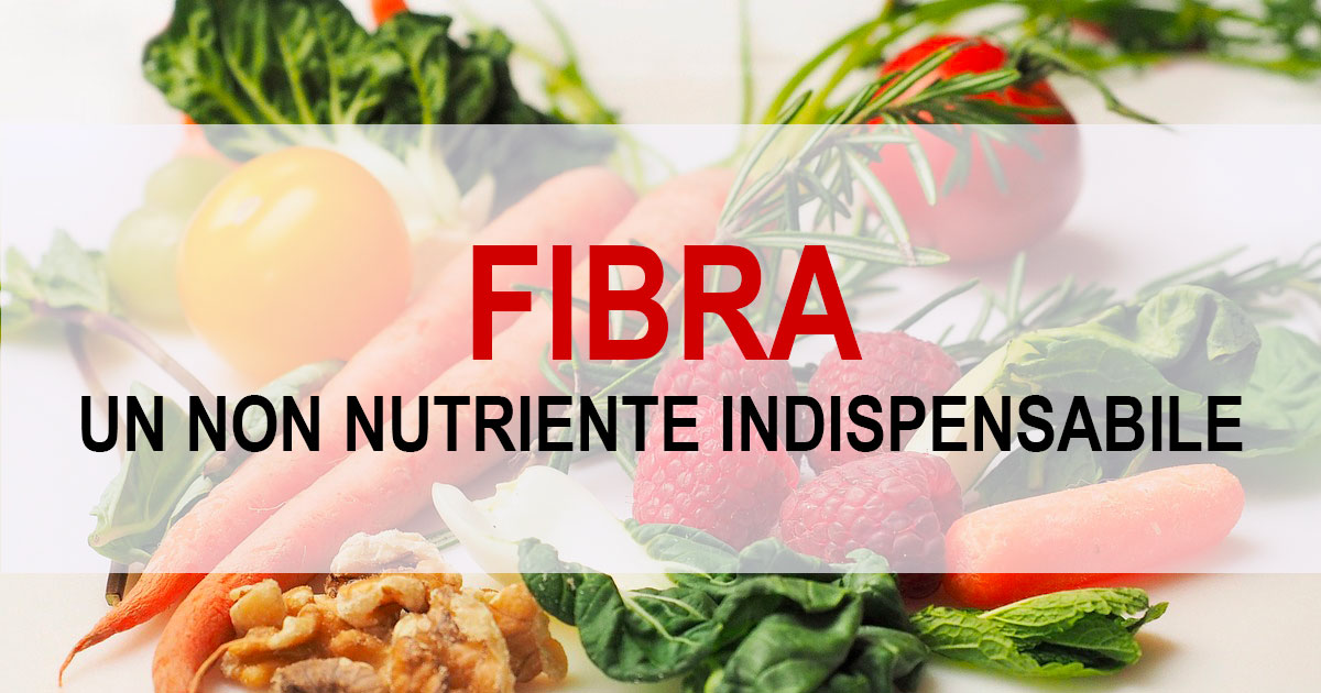 FIBRA: Un non nutriente indispensabile
